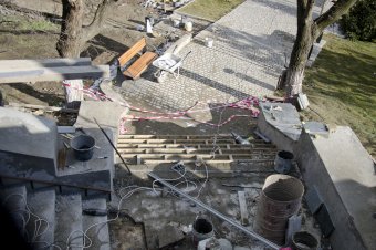 В ходе благоустройства на пляже Ланжерон высажены 64 молодых дерева