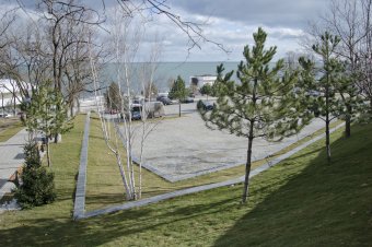 В ходе благоустройства на пляже Ланжерон высажены 64 молодых дерева