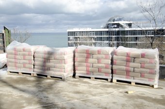 В ходе благоустройства на пляже Ланжерон высажены 64 молодых дерева