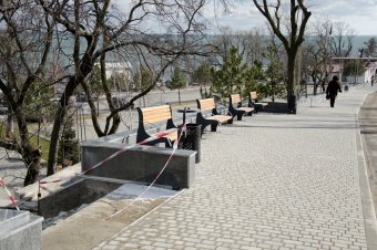 В ходе благоустройства на пляже Ланжерон высажены 64 молодых дерева