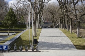 В ходе благоустройства на пляже Ланжерон высажены 64 молодых дерева