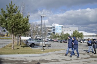 В ходе благоустройства на пляже Ланжерон высажены 64 молодых дерева