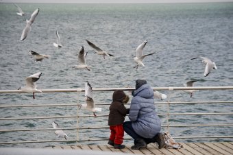 На Ланжероне все спокойно