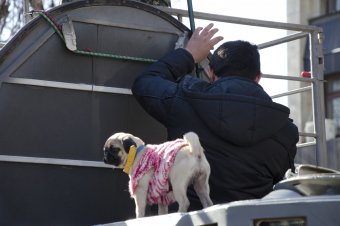 Активисты одесского Майдана дали руководству страны 24 часа на решение сложившейся ситуации в Дебальцево