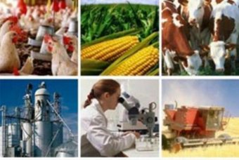 Эксперты: Действующая налоговая политика в сфере АПК требует пересмотра