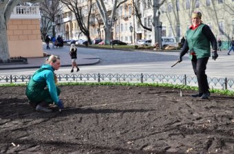 Клумбу на Думской украсила декоративная композиция «Три сердца» (фото)