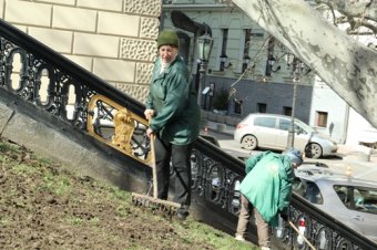 Клумбу на Думской украсила декоративная композиция «Три сердца» (фото)