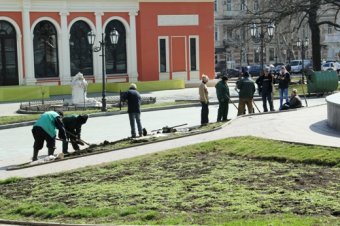 Клумбу на Думской украсила декоративная композиция «Три сердца» (фото)