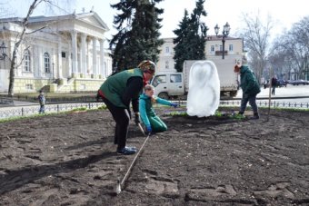 Клумбу на Думской украсила декоративная композиция «Три сердца» (фото)