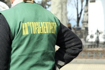 Клумбу на Думской украсила декоративная композиция «Три сердца» (фото)