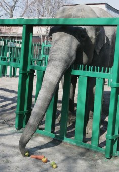 Сегодня поздравили самую большую одесситку (фото)