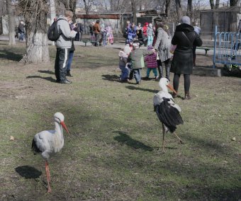 Сегодня поздравили самую большую одесситку (фото)