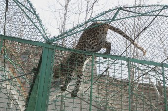 Сегодня поздравили самую большую одесситку (фото)