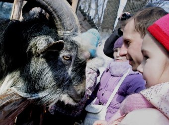 Сегодня поздравили самую большую одесситку (фото)