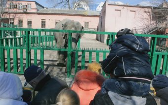 Сегодня поздравили самую большую одесситку (фото)