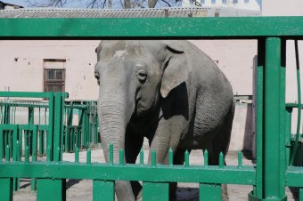 Сегодня поздравили самую большую одесситку (фото)