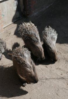 Сегодня поздравили самую большую одесситку (фото)
