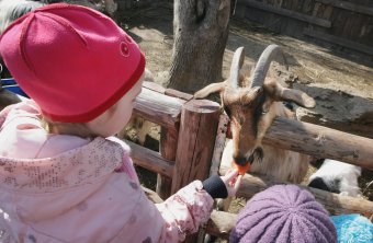 Сегодня поздравили самую большую одесситку (фото)