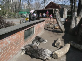 Сегодня поздравили самую большую одесситку (фото)