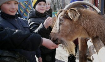 Сегодня поздравили самую большую одесситку (фото)