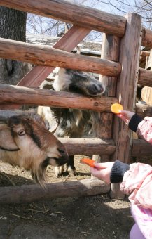 Сегодня поздравили самую большую одесситку (фото)