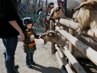 Сегодня поздравили самую большую одесситку (фото)