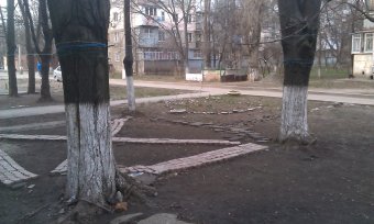 В одесских дворах наводят порядок (фото)