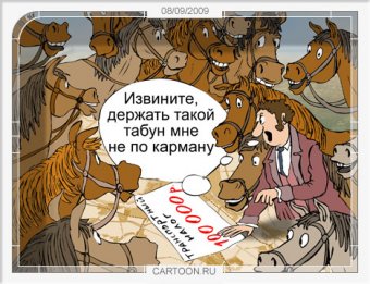 Одесситам на заметку: Что нужно знать о транспортном налоге