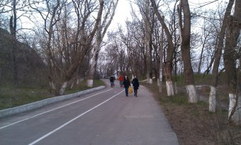 На Трассе здоровья аншлаг (фото)