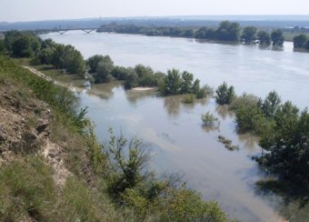 ОблСЭС: В период весенних паводков в речной воде активизируются вирусы кишечных инфекций
