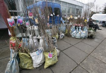 У Дворца спорта работает выставка-продажа «Садоводы для вас»