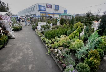 У Дворца спорта работает выставка-продажа «Садоводы для вас»