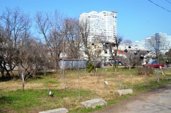 В разных районах Одессы сегодня провели субботники (фото)