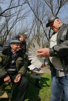В Одессу слетелись... голуби и прочая живность (фото)
