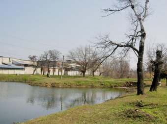 Парку Ленинского комсомола вернут историческое название (фото)