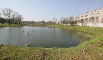Парку Ленинского комсомола вернут историческое название (фото)