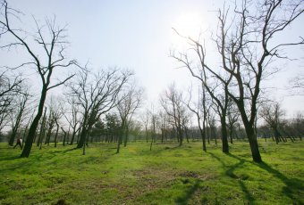 Парку Ленинского комсомола вернут историческое название (фото)