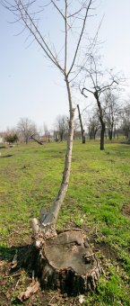 Парку Ленинского комсомола вернут историческое название (фото)
