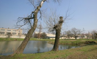 Парку Ленинского комсомола вернут историческое название (фото)