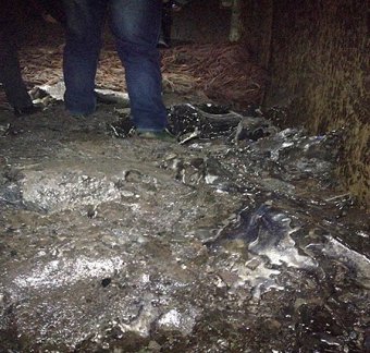В Одесской области задержали две партии контрабанды (фото)