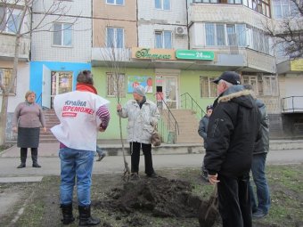 Одесская «Батькивщина» будет и дальше благоустраивать город (фото)