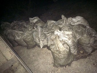 Одесские пограничники задержали рыбаков с крупным уловом (фото)