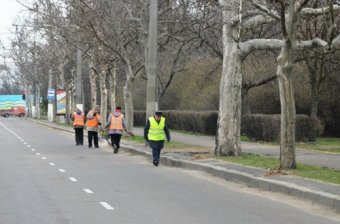 Первый вице-мэр Одессы проверил санитарное состояние улиц в Малиновском районе (фото)