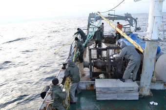 Пограничники пошли по пути  турецких браконьеров, и обнаружили  8000 метров камбальных сетей (фото)