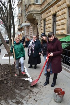 Школьники особенной школы Одессы высадили липы на Садовой (фото)
