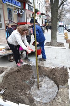 Школьники особенной школы Одессы высадили липы на Садовой (фото)