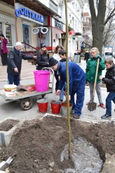 Школьники особенной школы Одессы высадили липы на Садовой (фото)