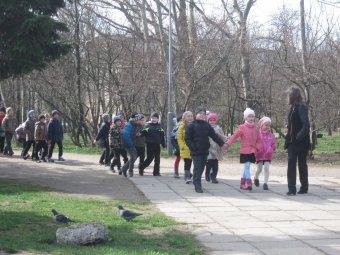 В озеро парка Победы выпустили лебедей после зимовки (фото)