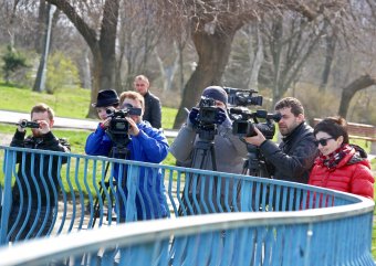 В пруды парка Победы после зимовки выпустили лебедей