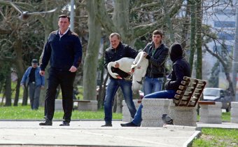 В пруды парка Победы после зимовки выпустили лебедей
